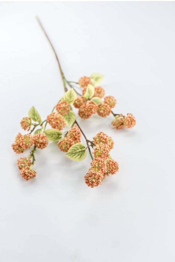 Allium Bud Spray - Greenery Market63738CO