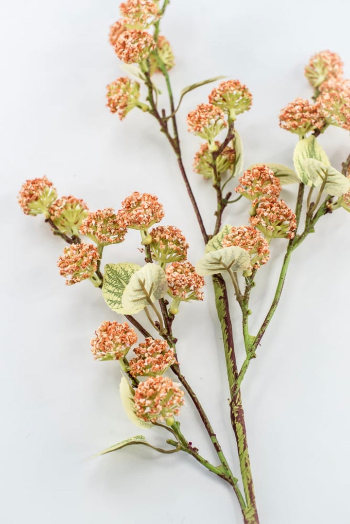 Allium Bud Spray - Greenery Market63738CO