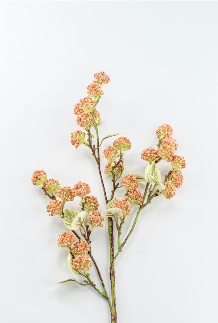 Allium Bud Spray - Greenery Market63738CO