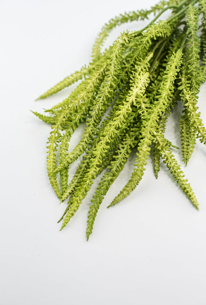 Amaranthus greens bundle - Greenery Market2150156LG