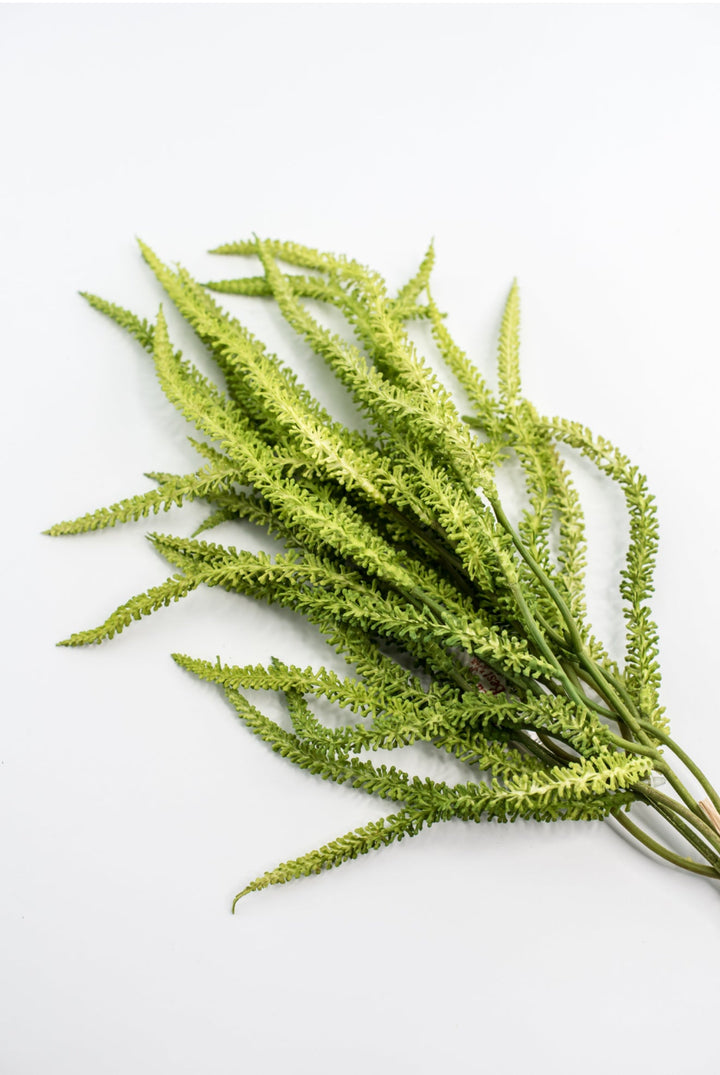 Amaranthus greens bundle - Greenery Market2150156LG