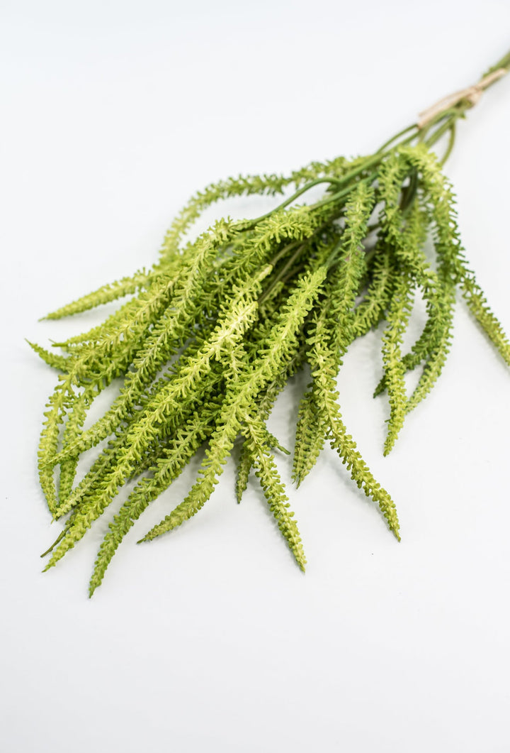 Amaranthus greens bundle - Greenery Market2150156LG