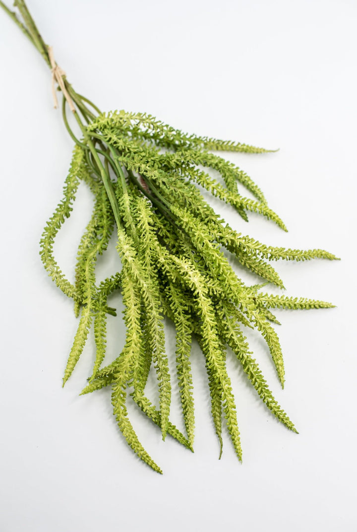 Amaranthus greens bundle - Greenery Market2150156LG