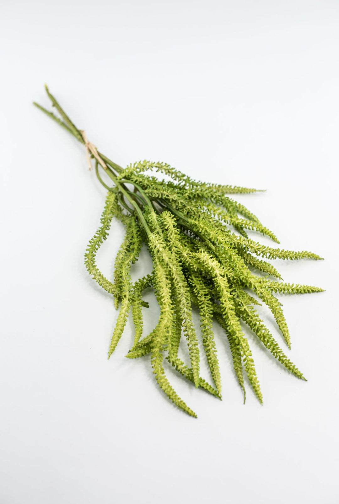 Amaranthus greens bundle - Greenery Market2150156LG