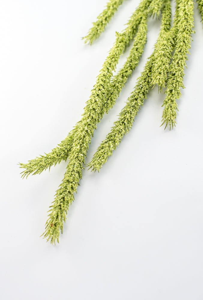 Amaranthus hanging spray - moss green - Greenery Marketspring summer greeneryFL6359/M - G
