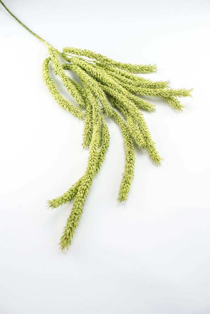 Amaranthus hanging spray - moss green - Greenery Marketspring summer greeneryFL6359/M - G