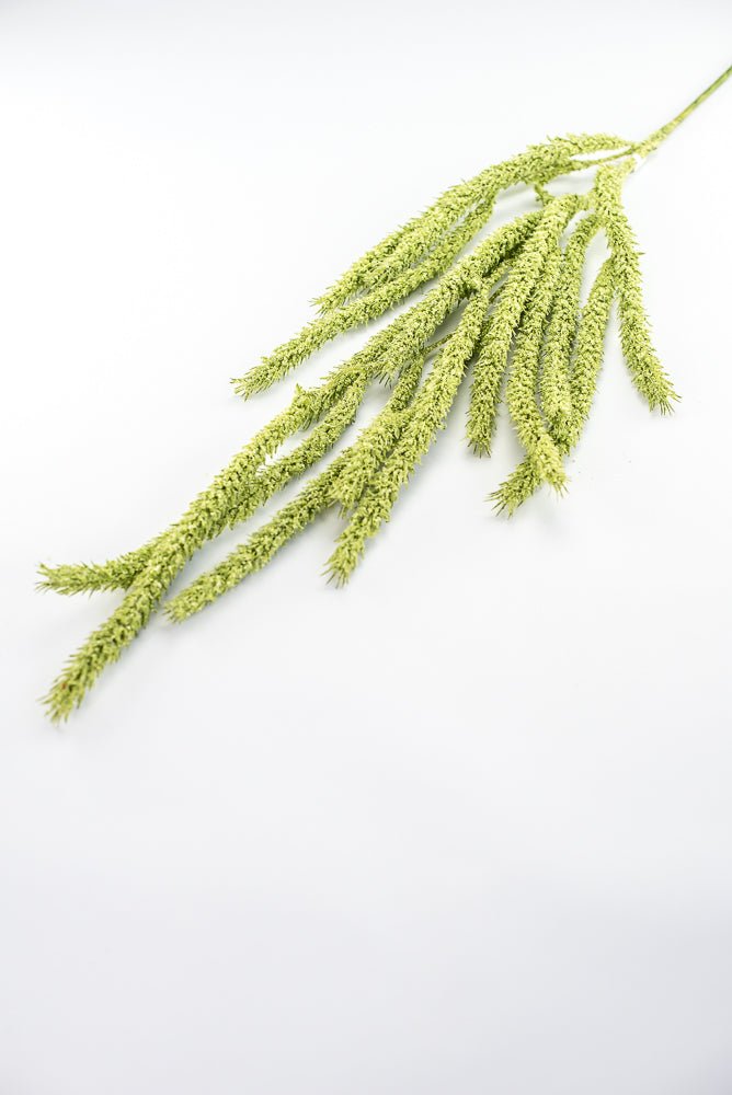 Amaranthus hanging spray - moss green - Greenery Marketspring summer greeneryFL6359/M - G