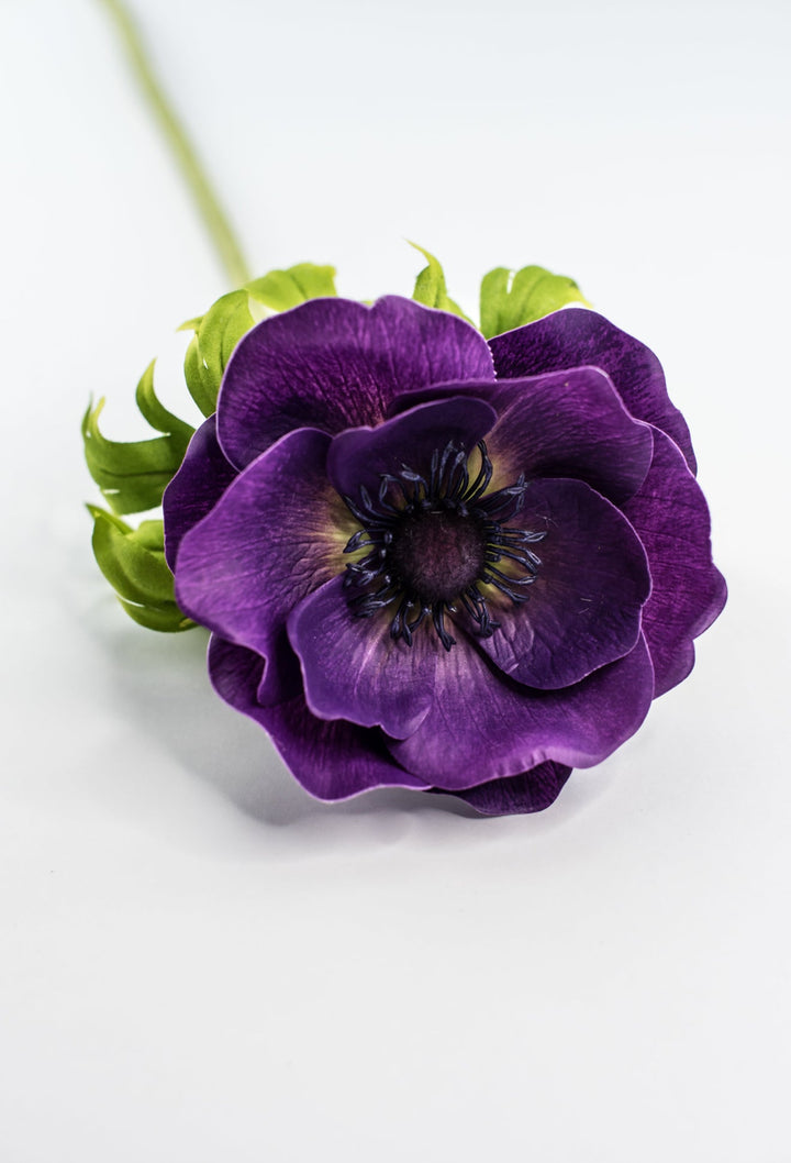 Anemone stem - purple - Greenery Market2270026PP