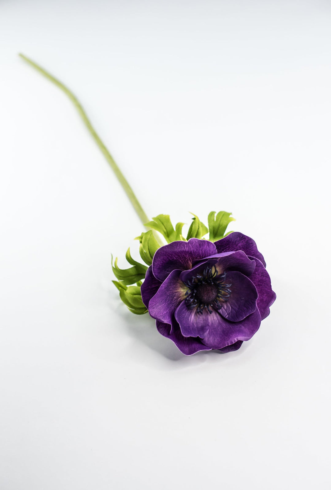 Anemone stem - purple - Greenery Market2270026PP