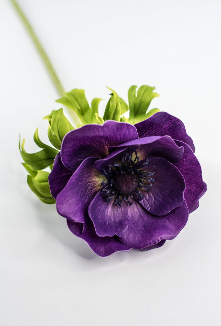 Anemone stem - purple - Greenery Market2270026PP