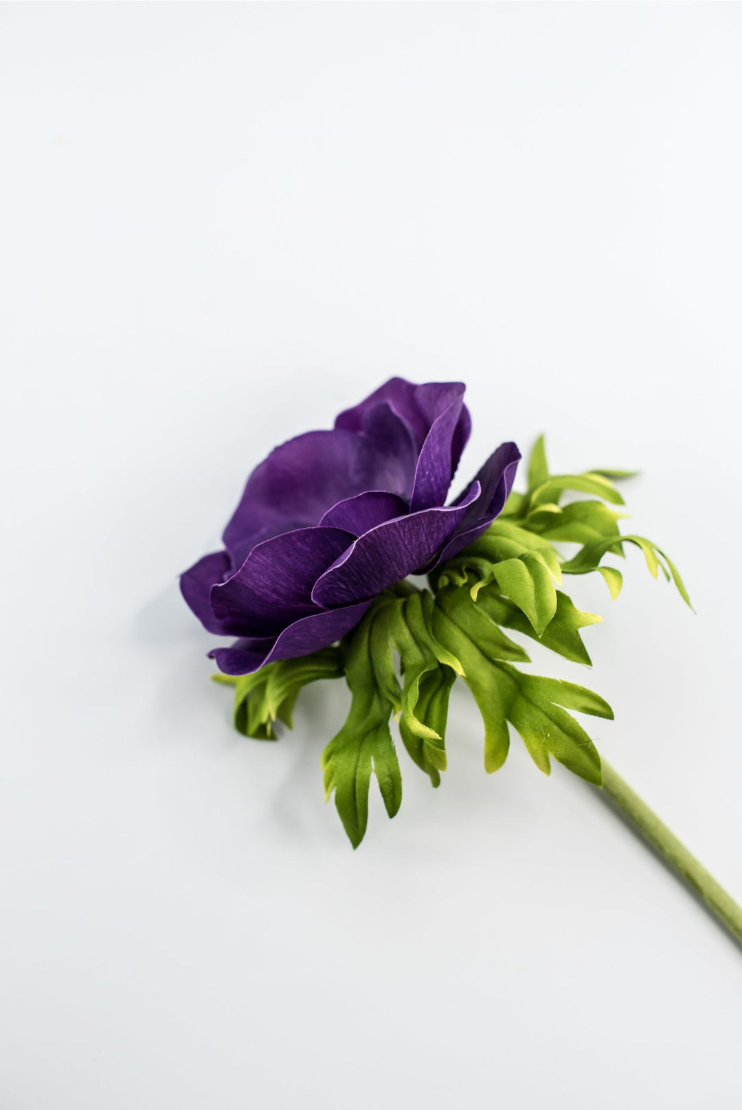 Anemone stem - purple - Greenery Market2270026PP