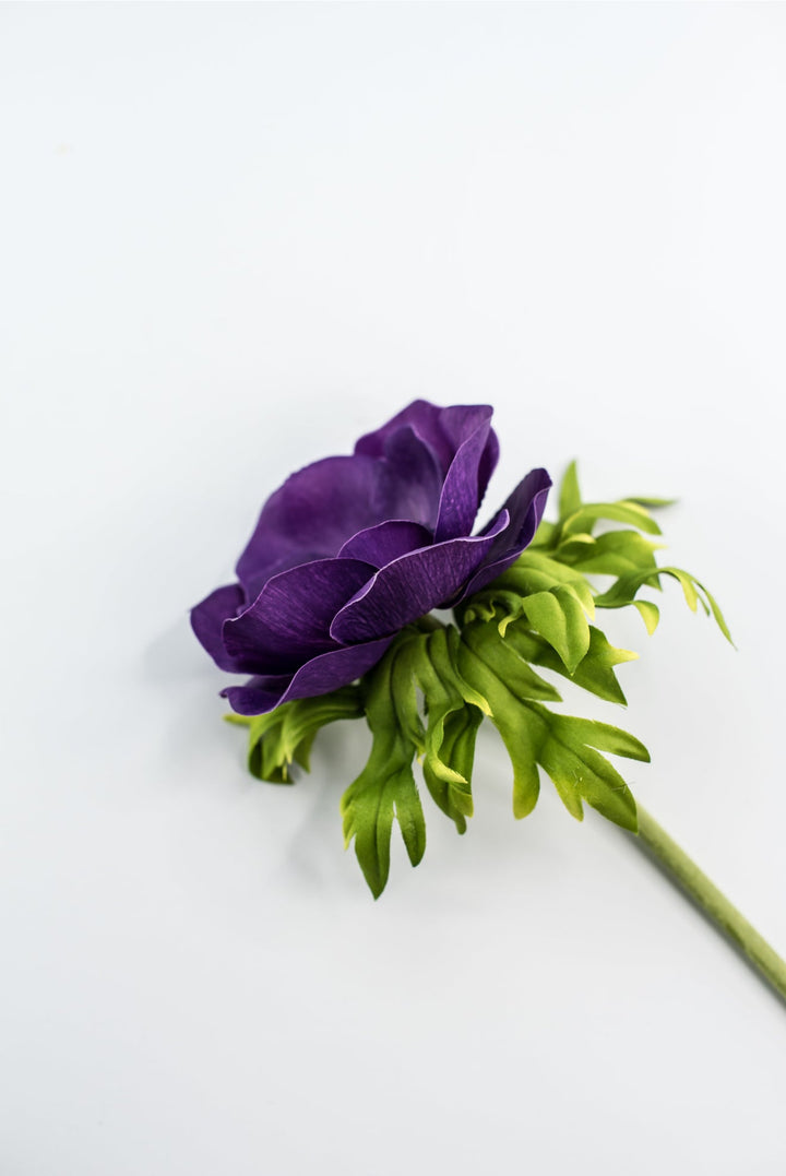 Anemone stem - purple - Greenery Market2270026PP