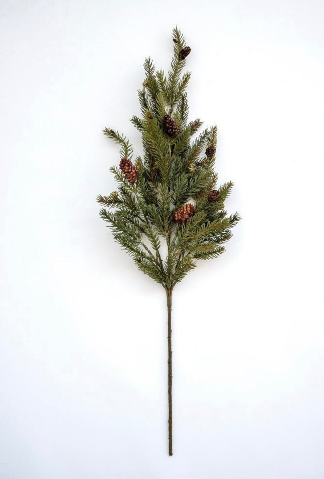 Angel Fir Pine spray with cones - Greenery MarketgreeneryX983/L - TTG