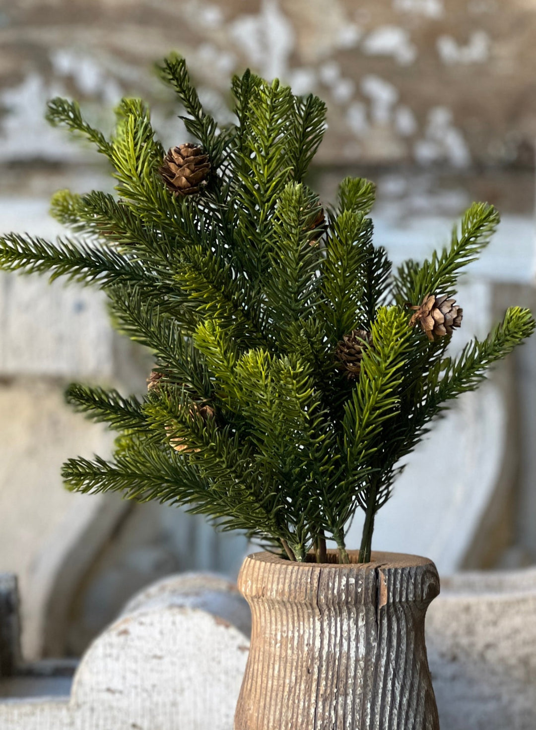 Angel pine bush with cones - Greenery MarketXVP4343