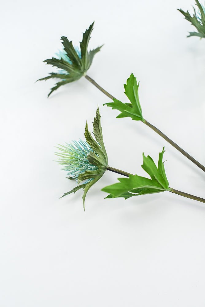 Aqua blue thistle flower spray - Greenery Market2150064AQ