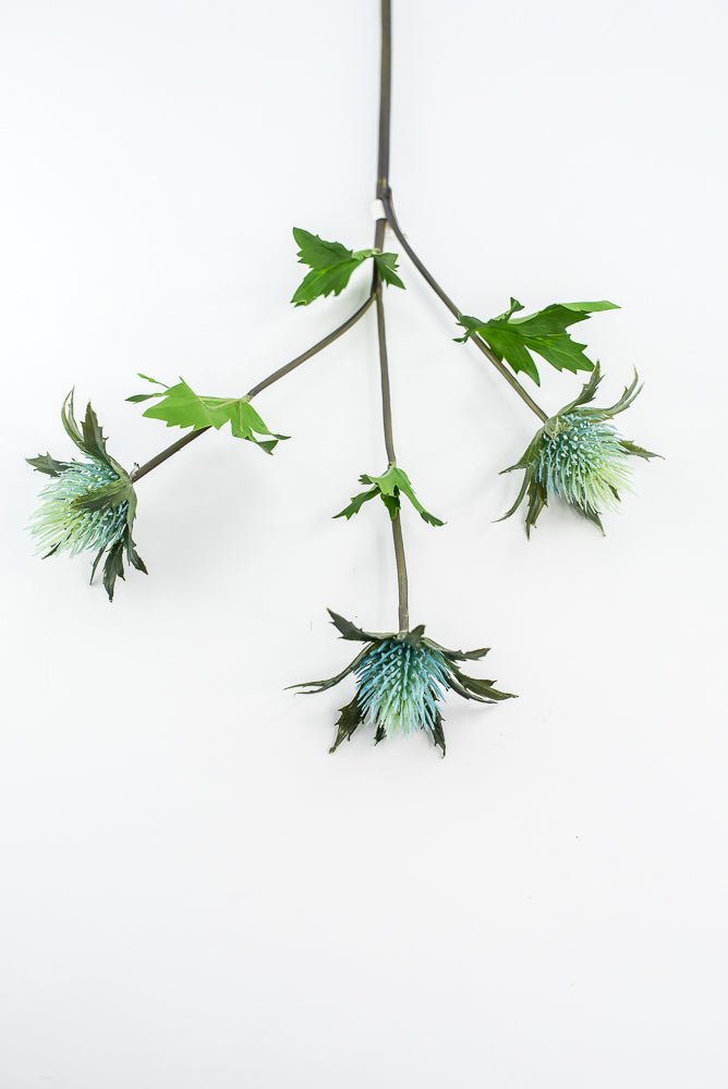 Aqua blue thistle flower spray - Greenery Market2150064AQ