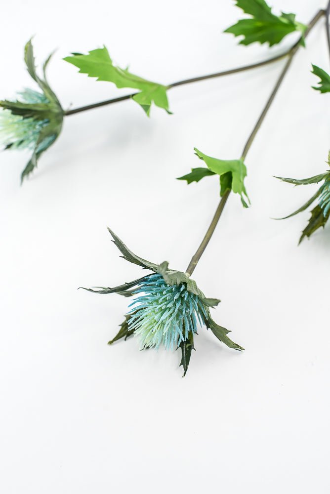 Aqua blue thistle flower spray - Greenery Market2150064AQ