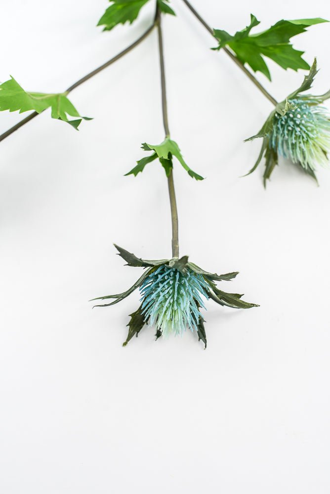 Aqua blue thistle flower spray - Greenery Market2150064AQ