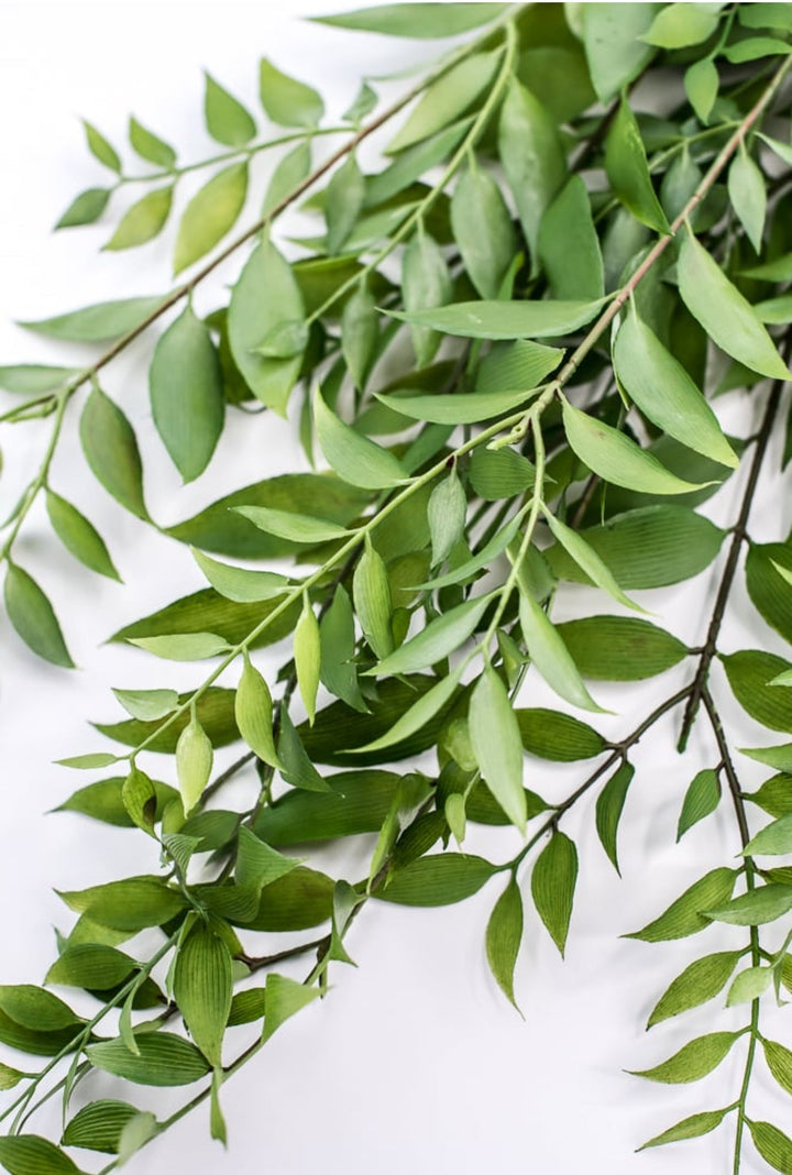 Artificial Asian Bay Leaves Bush - Greenery MarketPBB166 - GR
