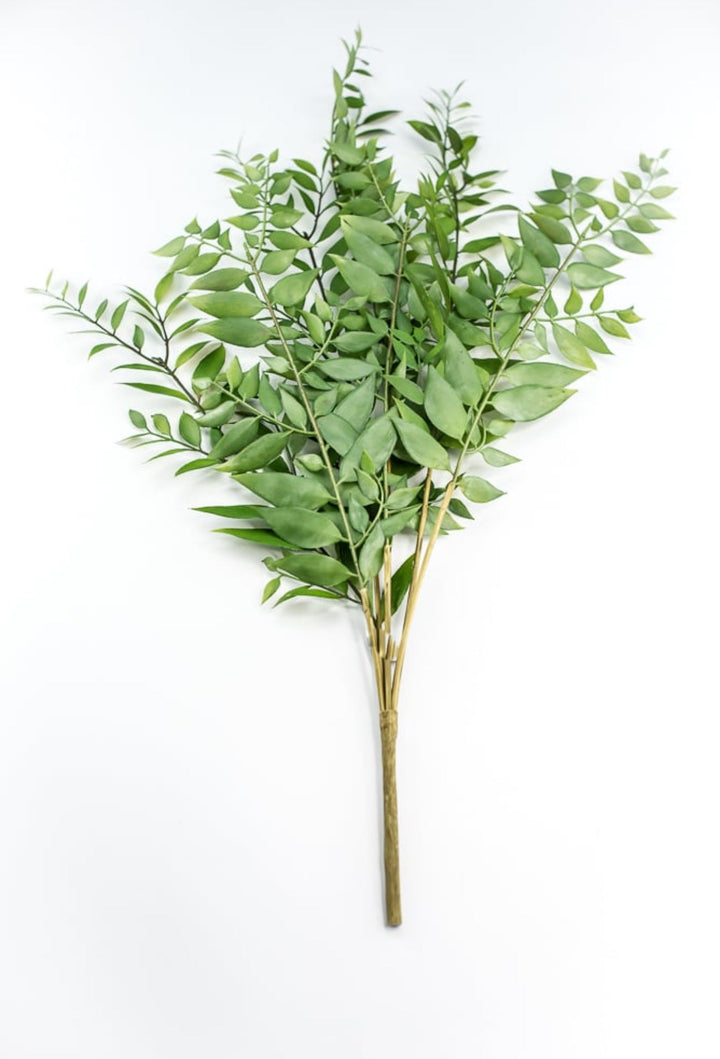 Artificial Asian Bay Leaves Bush - Greenery MarketPBB166 - GR