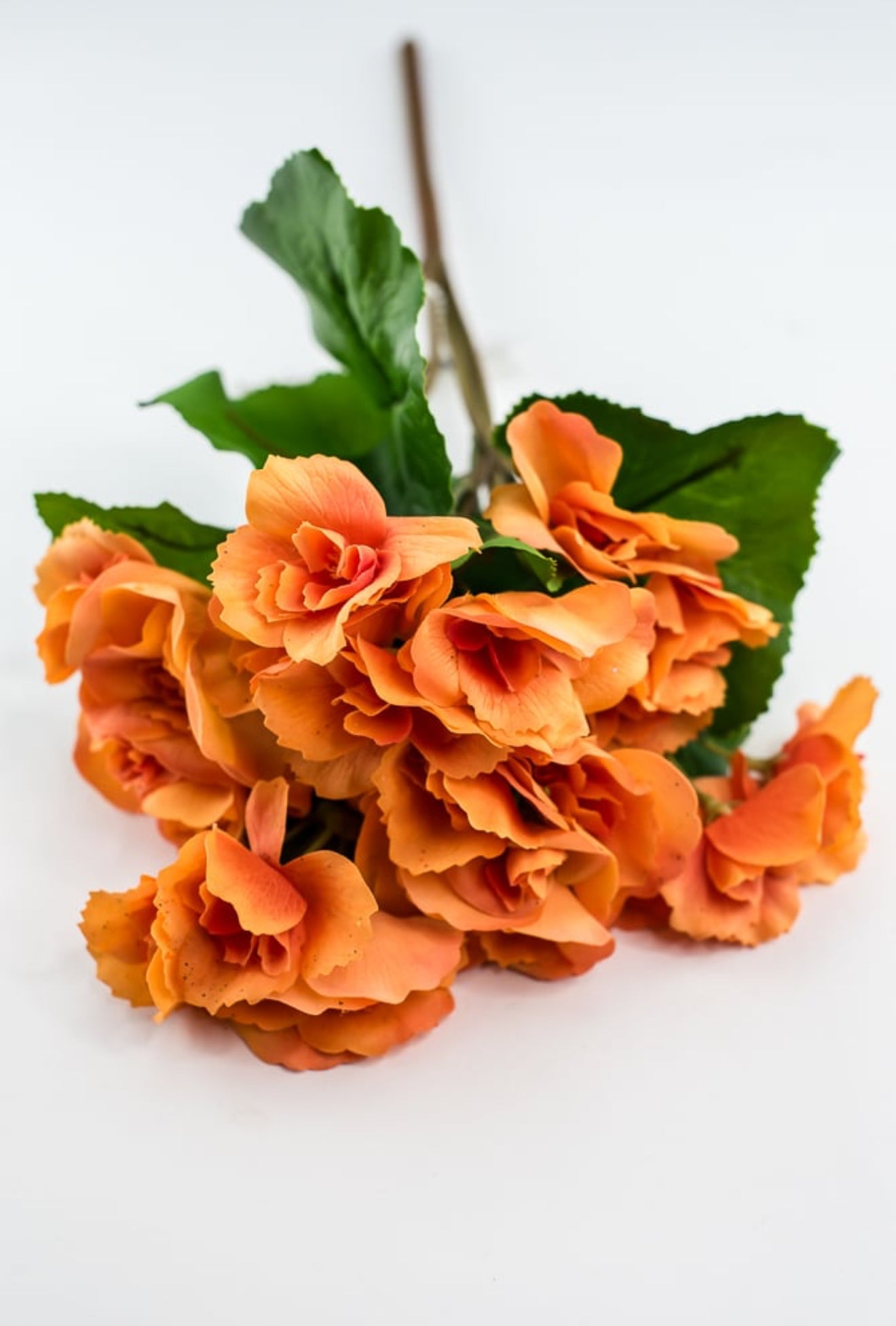 Artificial Begonia Bush - real touch - orange - Greenery Market