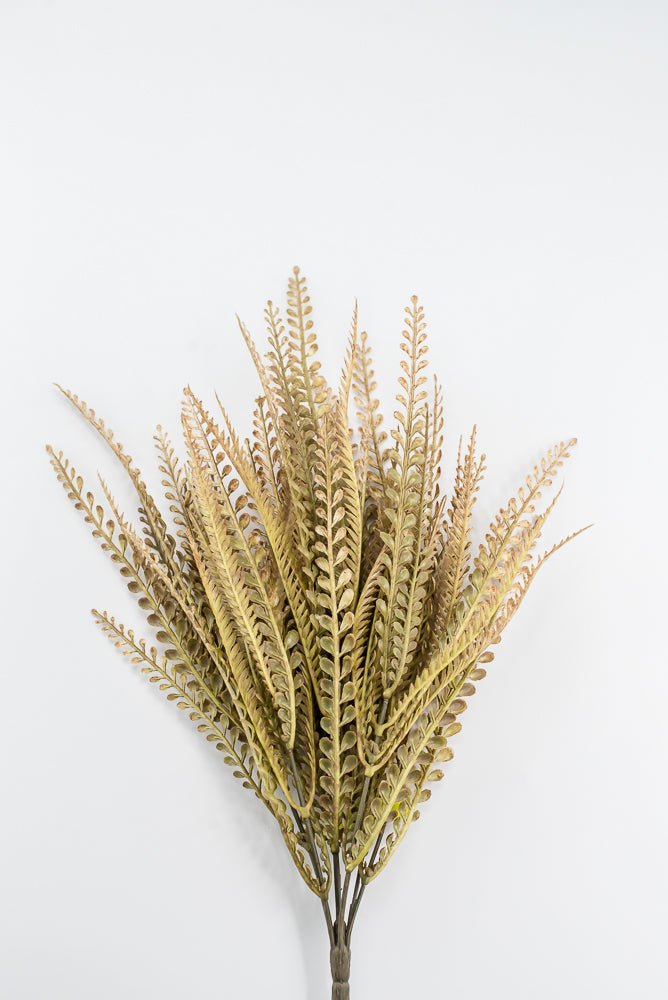 Artificial, Beige / Brown, Button Leaves & Sword Fern Bush - 20" - Greenery MarketArtificial Flora57355BEBN