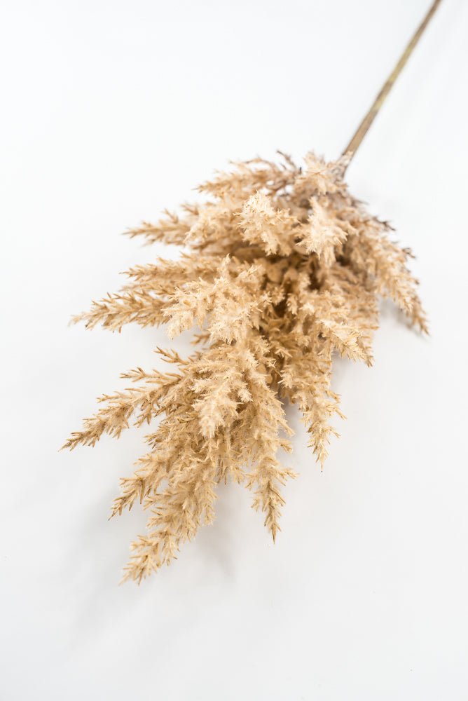 Artificial Beige Dried Astilbe Spray - 34" - Greenery Market5041-BE