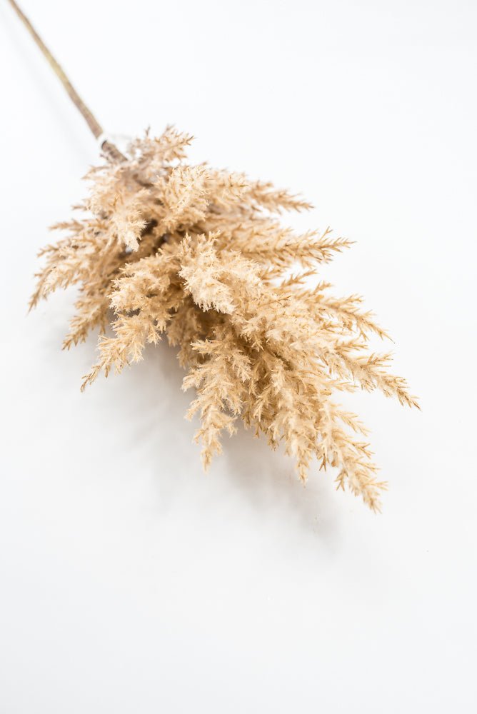 Artificial Beige Dried Astilbe Spray - 34" - Greenery Market5041-BE