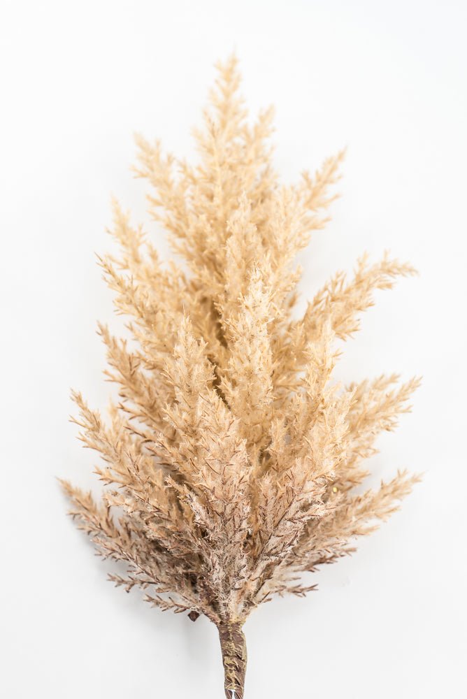 Artificial Beige Dried Astilbe Spray - 34" - Greenery Market5041-BE