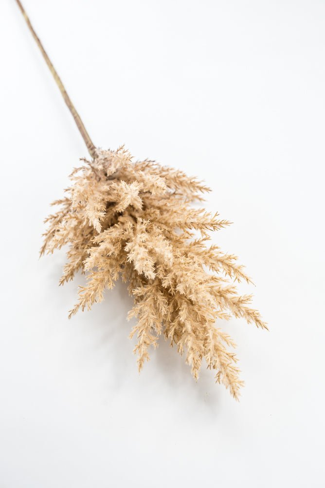 Artificial Beige Dried Astilbe Spray - 34" - Greenery Market5041-BE