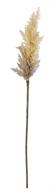 Artificial Beige Dried Astilbe Spray - 34" - Greenery Market5041-BE