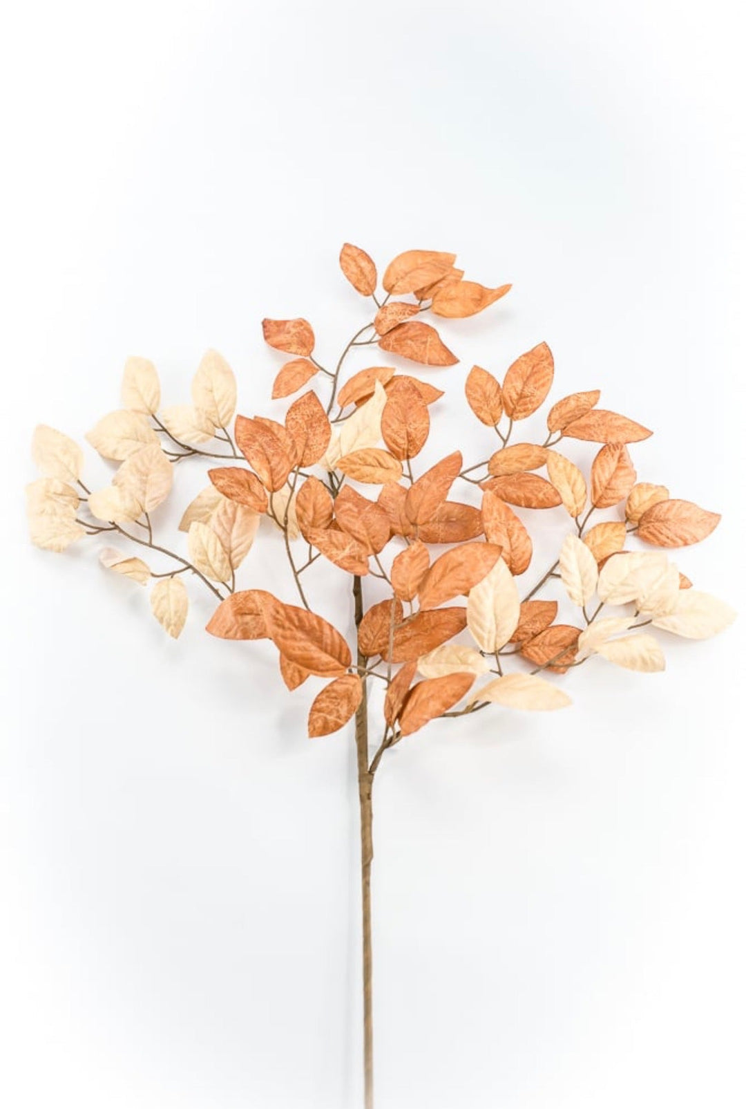Artificial Birch Leaves Spray - Beige Brown - Greenery MarketArtificial Flora65210-BEBRN