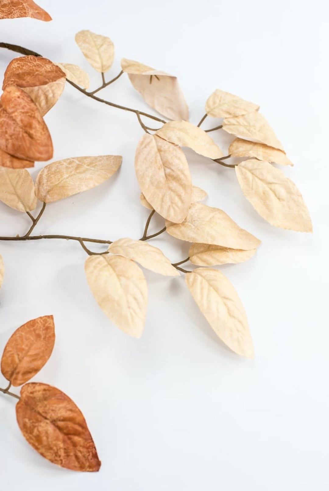Artificial Birch Leaves Spray - Beige Brown - Greenery MarketArtificial Flora65210-BEBRN