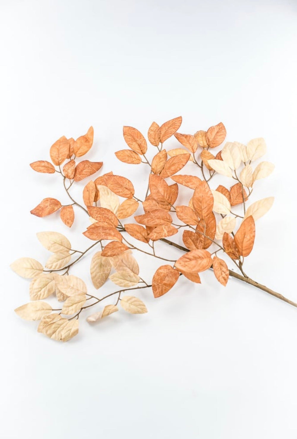 Artificial Birch Leaves Spray - Beige Brown - Greenery MarketArtificial Flora65210-BEBRN