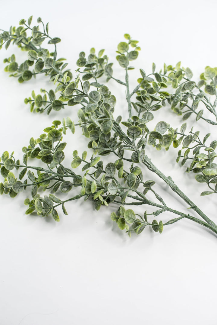 Artificial Boxwood greenery spray - Greenery MarketgreeneryFL6931 - TTG