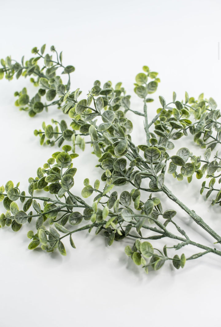 Artificial Boxwood greenery spray - Greenery MarketgreeneryFL6931 - TTG