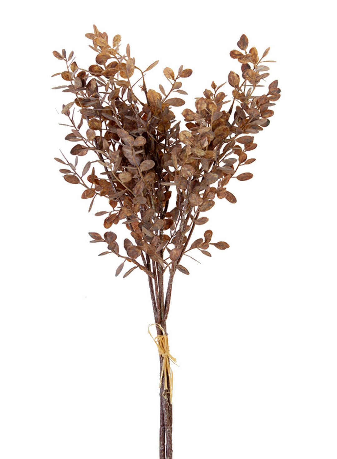 Artificial Brown Eucalyptus Bundle - 28" - Greenery Market2751116BR