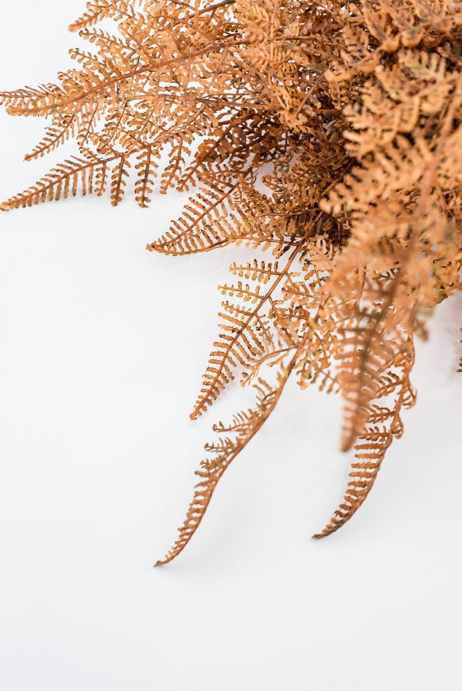 Artificial, Brown, PVC Fern Bush - Greenery Market85367-UV-BRN