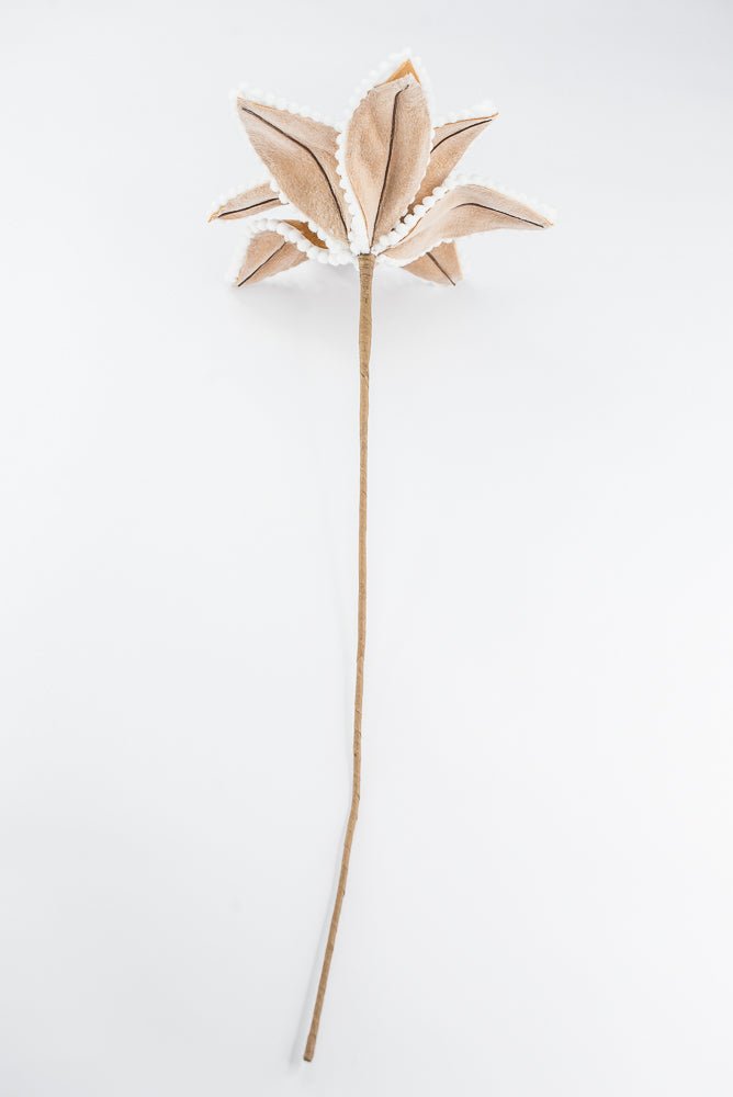 Artificial, Brown & White, Gingerbread Poinsettia Stem - 26" - Greenery MarketArtificial Flora86805BNWT