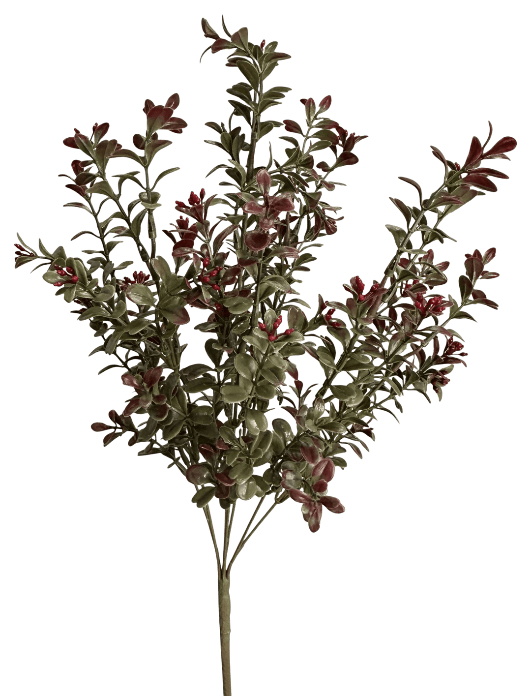 Artificial Burgundy Plastic Boxwood Bush - 18" - Greenery Market57519BG