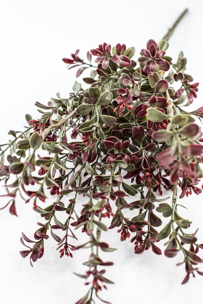 Artificial Burgundy Plastic Boxwood Bush - 18" - Greenery Market57519BG