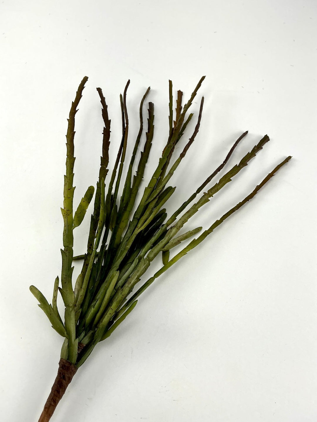 artificial succulent plants cactus Artificial cactus, faux succulent pick
