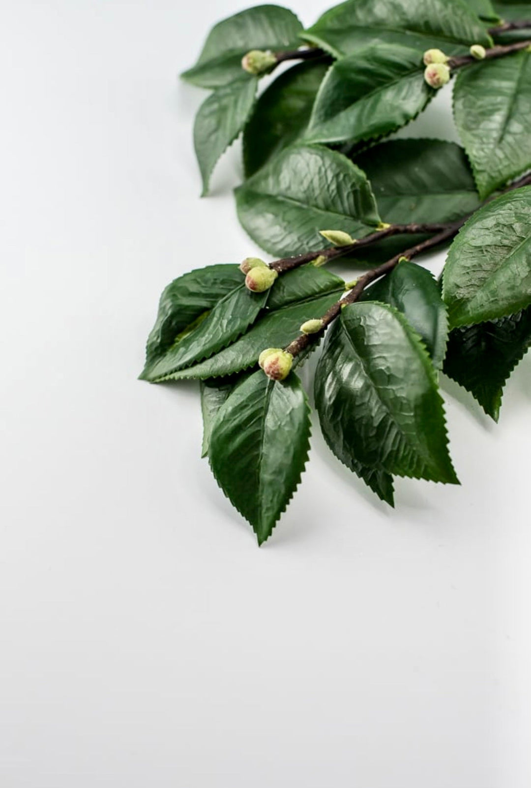 Artificial, camellia leaf, branch spray - Greenery Market2330098GR