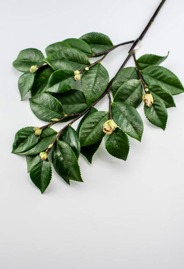 Artificial, camellia leaf, branch spray - Greenery Market2330098GR