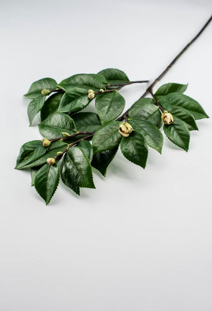 Artificial, camellia leaf, branch spray - Greenery Market2330098GR