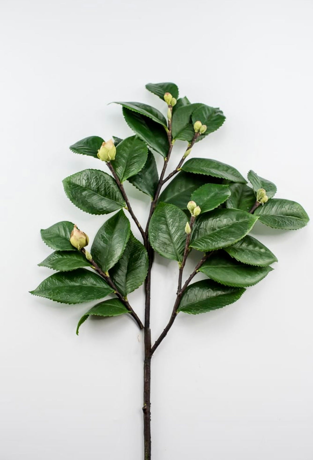 Artificial, camellia leaf, branch spray - Greenery Market2330098GR