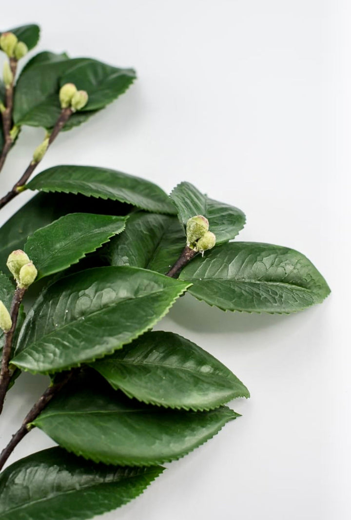 Artificial, camellia leaf, branch spray - Greenery Market2330098GR