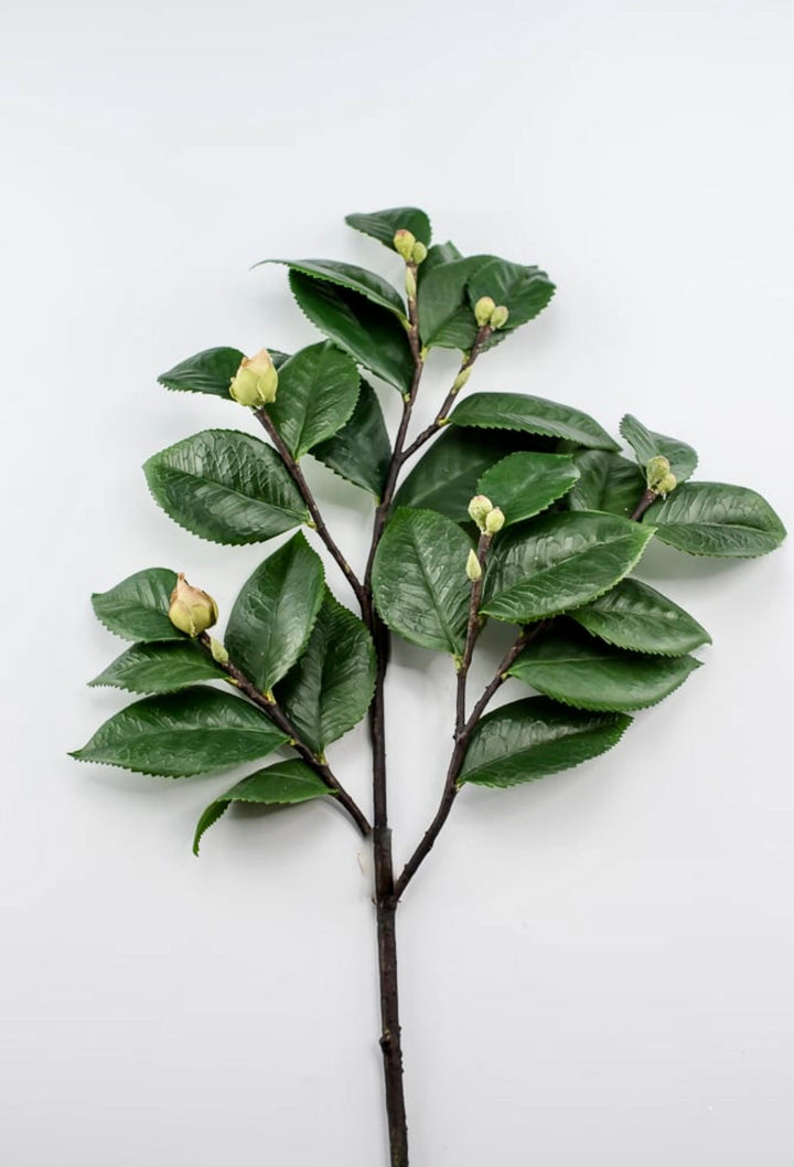 Artificial, camellia leaf, branch spray - Greenery Market2330098GR