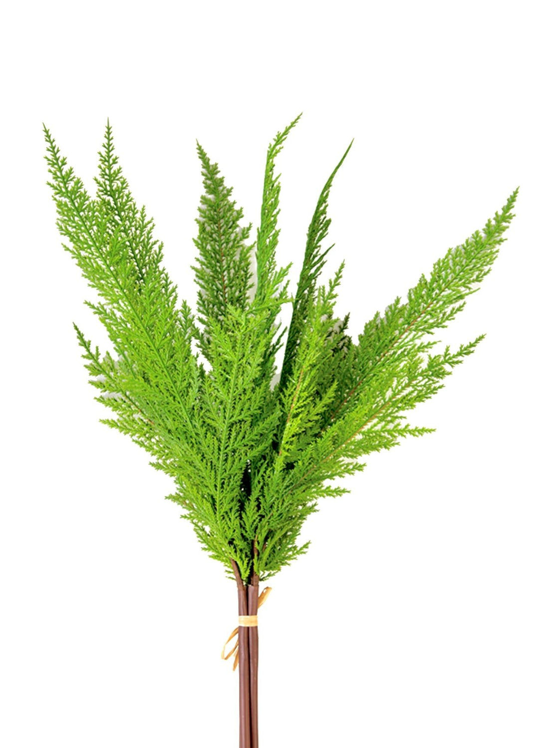 Artificial, cedar bundle - bright green - Greenery Market2825237DG