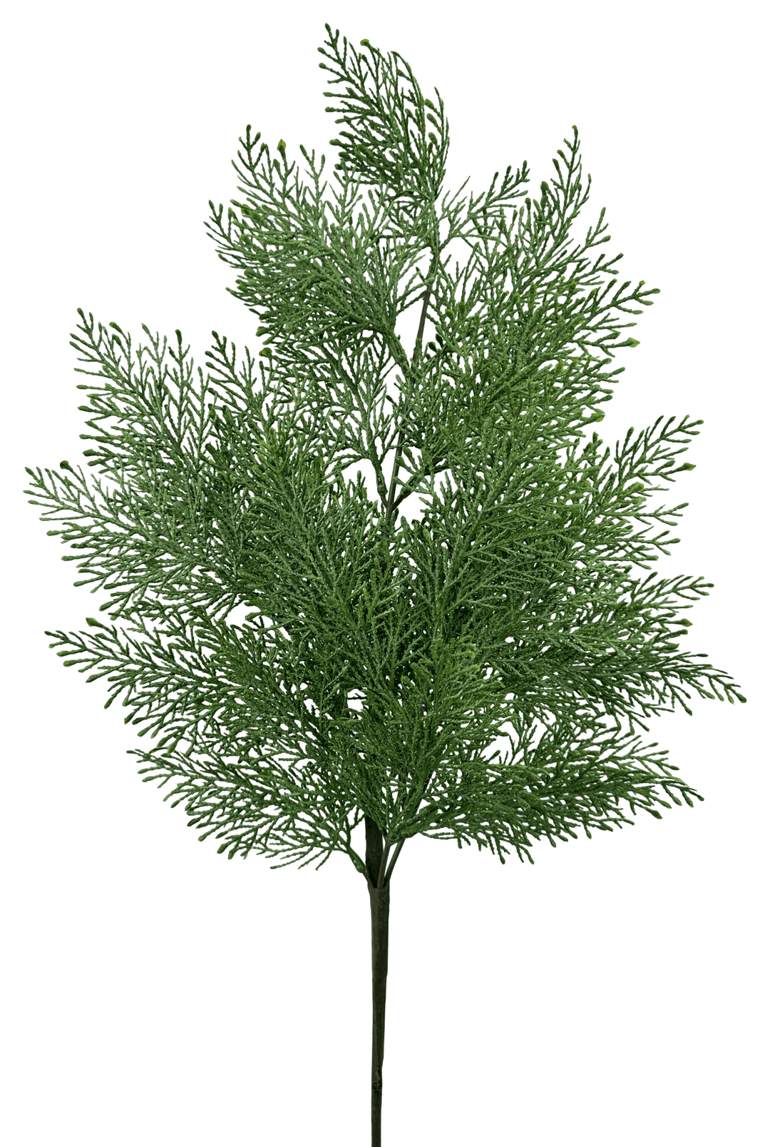 Artificial Cedar Spray - 30" - Greenery Market86933SP30